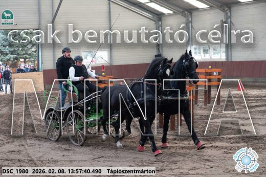 Mintakép 20260208-44