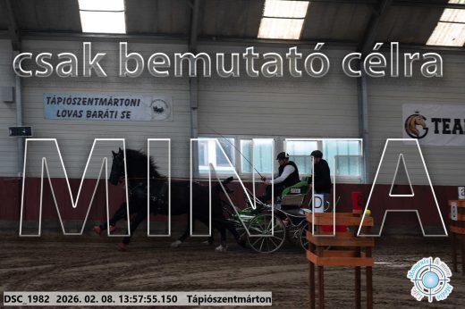 Mintakép 20260208-46