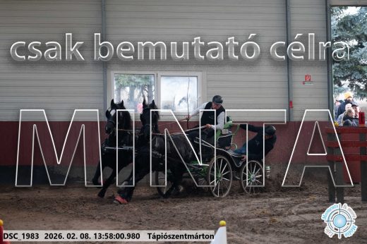 Mintakép 20260208-47