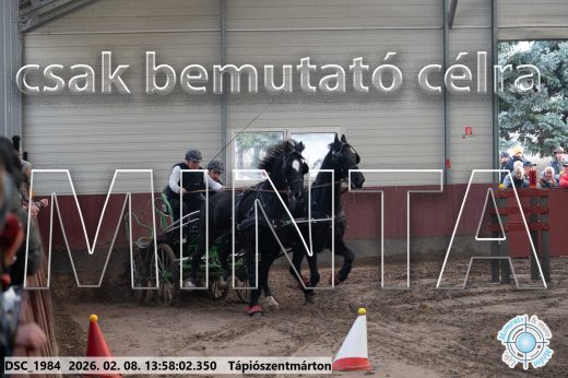 Mintakép 20260208-48
