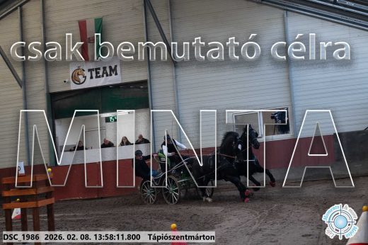 Mintakép 20260208-50