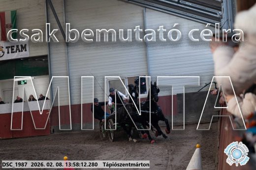 Mintakép 20260208-51