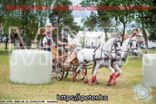 Mintakép 20260613-505