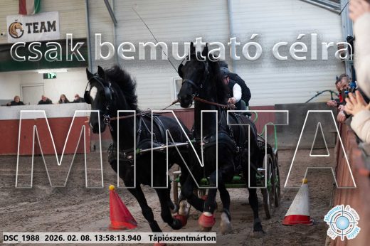 Mintakép 20260208-52