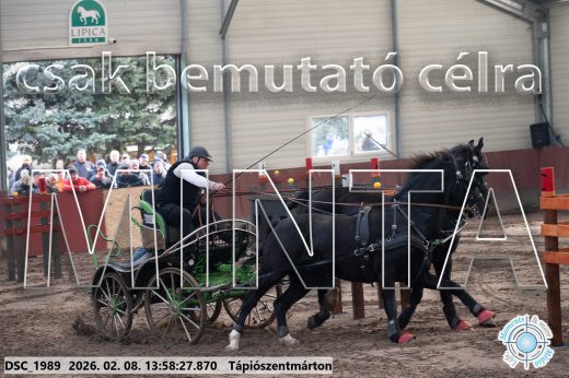 Mintakép 20260208-53