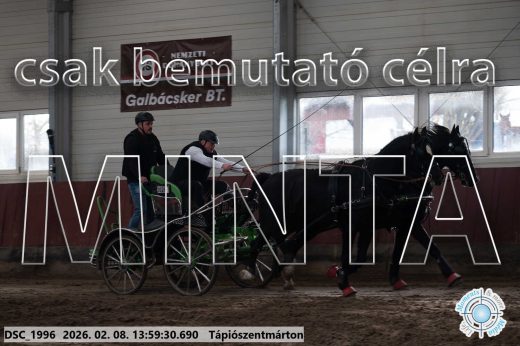 Mintakép 20260208-59