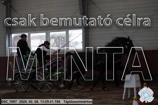 Mintakép 20260208-60