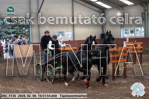 Mintakép 20260208-62