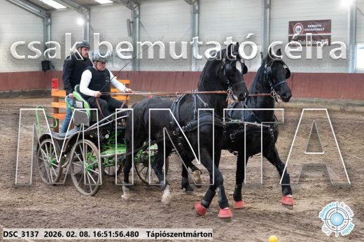Mintakép 20260208-63