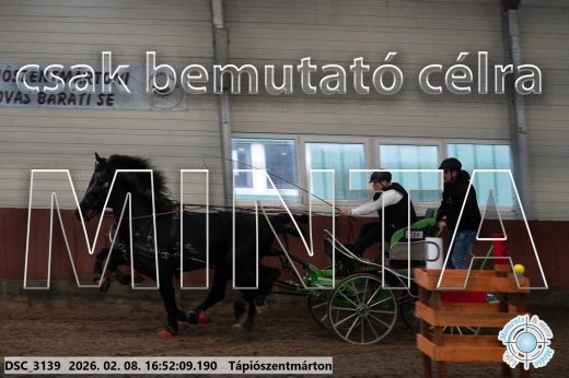 Mintakép 20260208-65