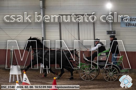 Mintakép 20260208-66
