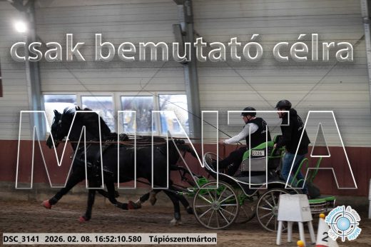 Mintakép 20260208-67
