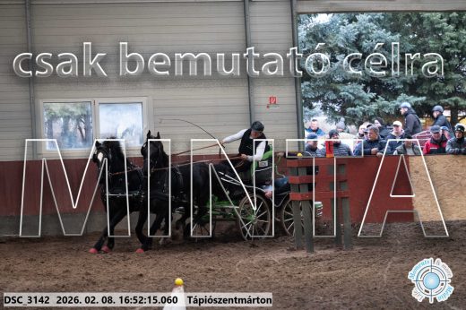 Mintakép 20260208-68