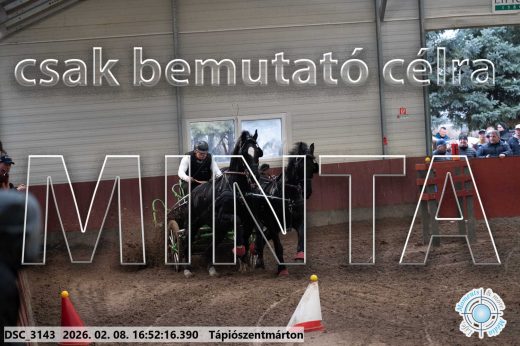 Mintakép 20260208-69