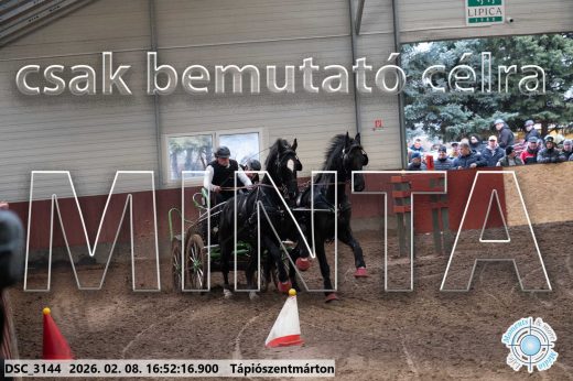 Mintakép 20260208-70