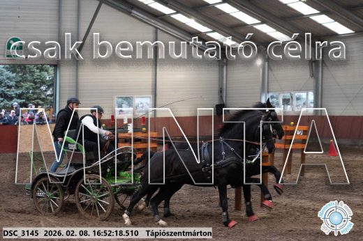 Mintakép 20260208-71