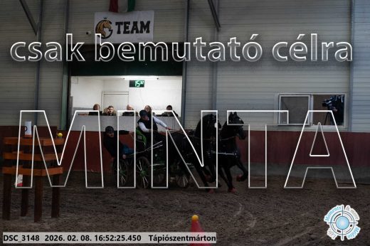 Mintakép 20260208-74
