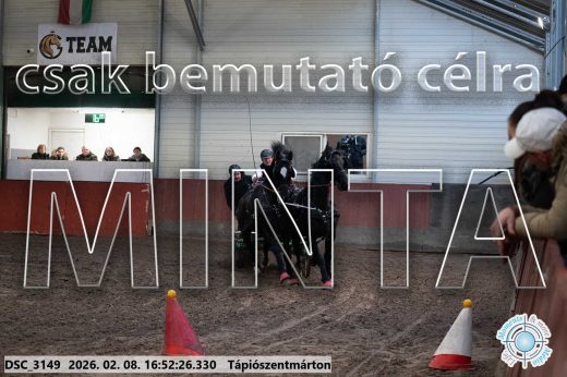 Mintakép 20260208-75