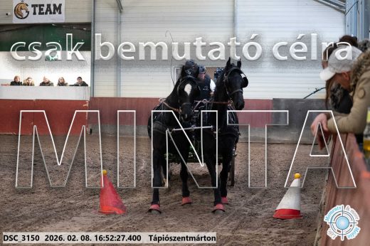 Mintakép 20260208-76