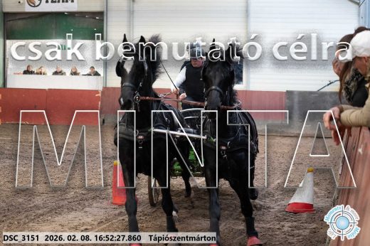 Mintakép 20260208-77