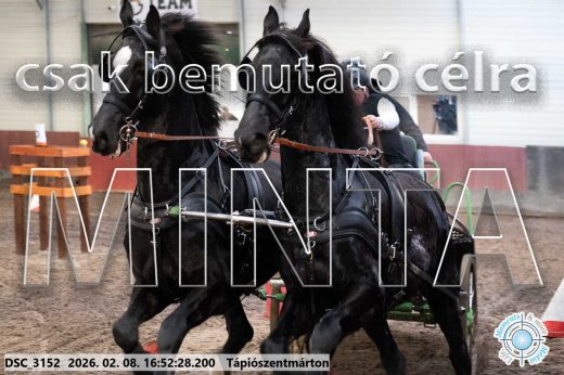 Mintakép 20260208-78