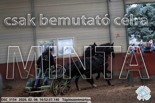 Mintakép 20260208-80