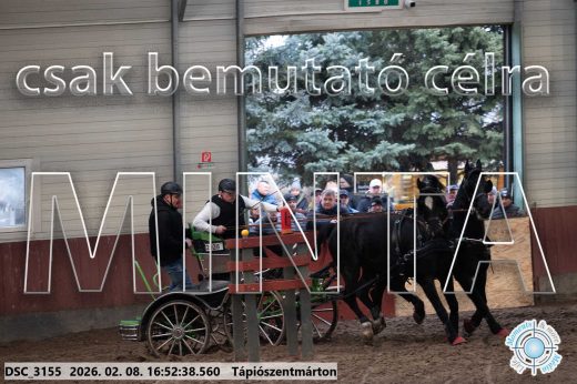 Mintakép 20260208-81