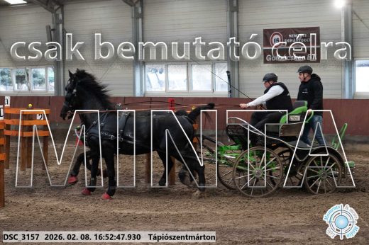 Mintakép 20260208-83