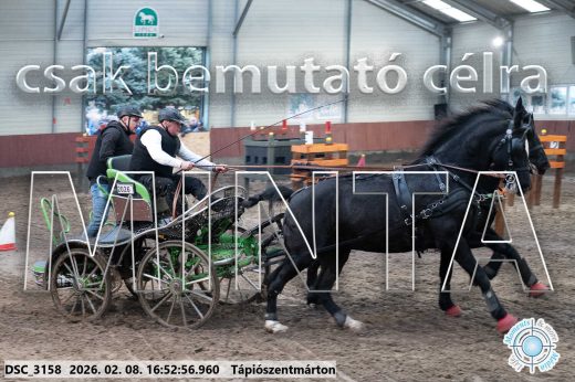 Mintakép 20260208-84