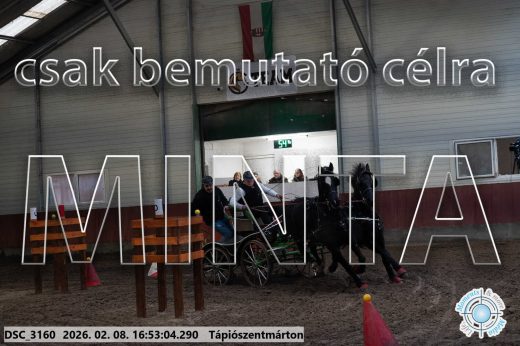 Mintakép 20260208-86