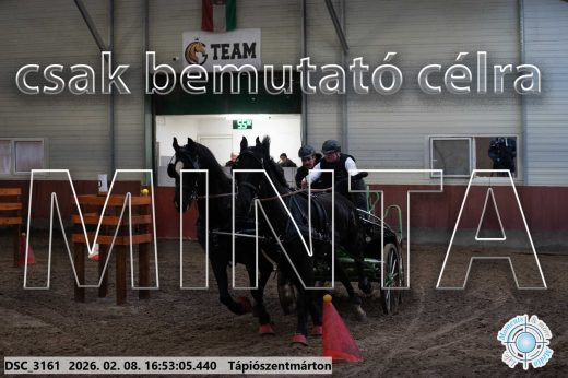 Mintakép 20260208-87