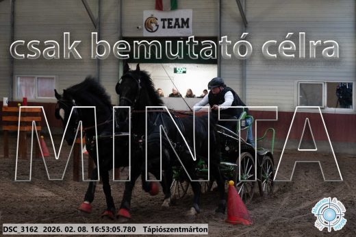 Mintakép 20260208-88