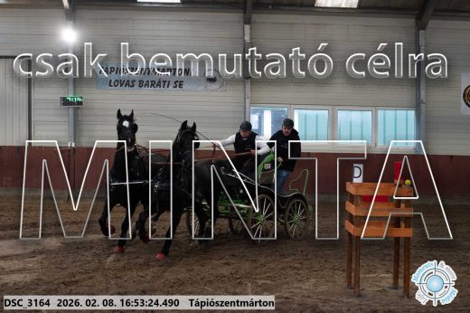 Mintakép 20260208-90