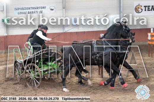Mintakép 20260208-91