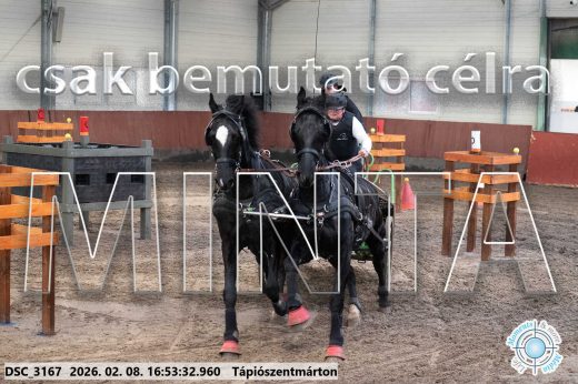 Mintakép 20260208-93