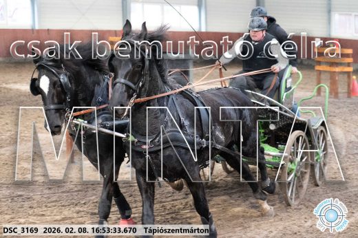 Mintakép 20260208-95