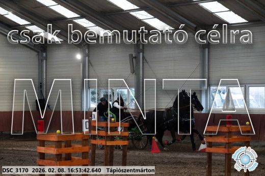 Mintakép 20260208-96