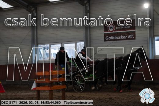Mintakép 20260208-97