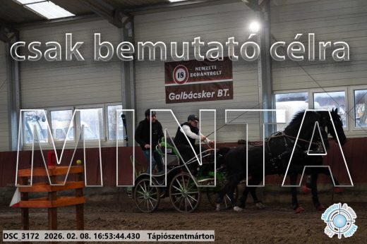 Mintakép 20260208-98