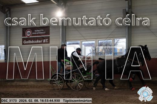 Mintakép 20260208-99