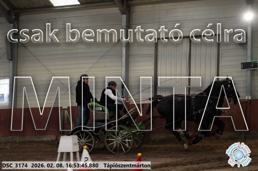 Mintakép 20260208-100
