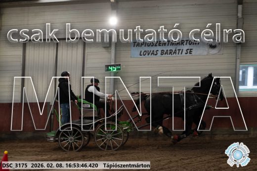 Mintakép 20260208-101