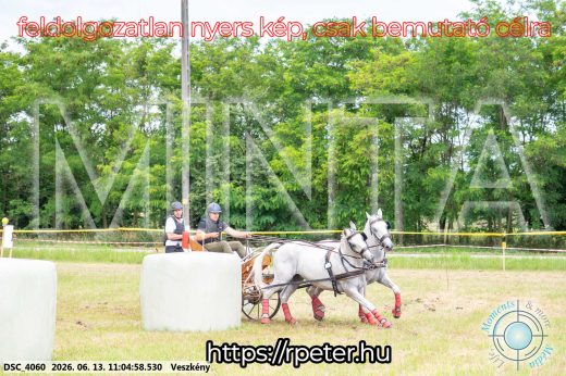 Mintakép 20260613-510