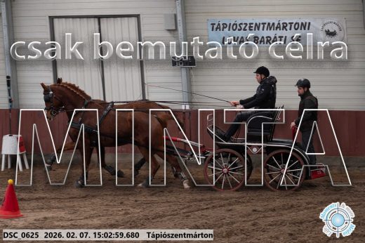 Mintakép 20260207-72