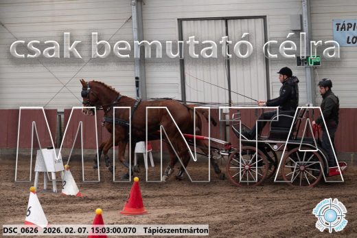 Mintakép 20260207-73