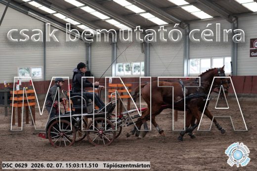 Mintakép 20260207-76