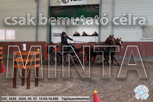 Mintakép 20260207-77