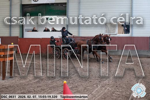 Mintakép 20260207-78