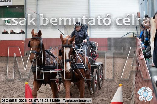 Mintakép 20260207-82