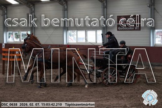 Mintakép 20260207-84